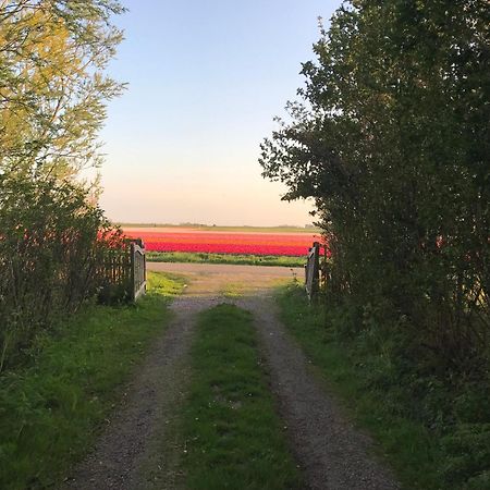 Flower Power Anna Paulowna Экстерьер фото
